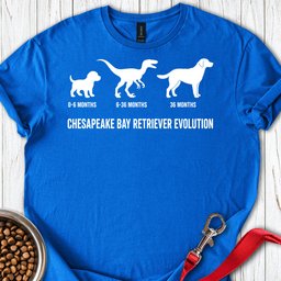 Chesapeake Bay Retriever Evolution T Shirt Gift For Dog Lover