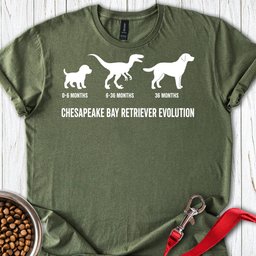 Chesapeake Bay Retriever Evolution T Shirt Gift For Dog Lover