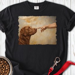 Chesapeake Bay Retriever Creation Premium Tee Gift For Dog Lover