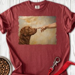 Chesapeake Bay Retriever Creation Premium Tee Gift For Dog Lover