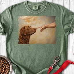 Chesapeake Bay Retriever Creation Premium Tee Gift For Dog Lover