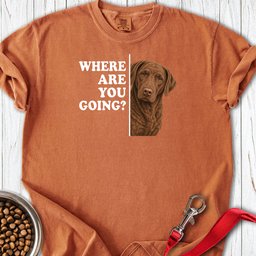 Chesapeake Bay Retriever Where Are You Going Premium Tee Gift For Dog Lover