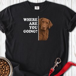 Chesapeake Bay Retriever Where Are You Going Premium Tee Gift For Dog Lover