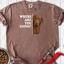 Chesapeake Bay Retriever Where Are You Going Premium Tee Gift For Dog Lover