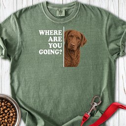 Chesapeake Bay Retriever Where Are You Going Premium Tee Gift For Dog Lover