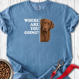 Chesapeake Bay Retriever Where Are You Going Premium Tee Gift For Dog Lover