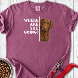 Chesapeake Bay Retriever Where Are You Going Premium Tee Gift For Dog Lover