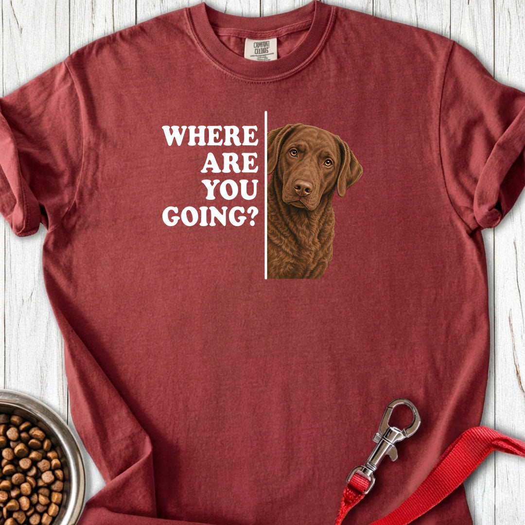 Chesapeake Bay Retriever Where Are You Going Premium Tee Gift For Dog Lover