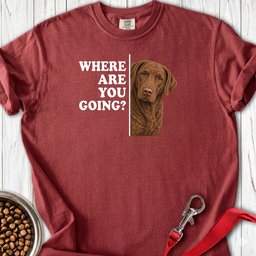 Chesapeake Bay Retriever Where Are You Going Premium Tee Gift For Dog Lover
