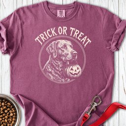 Chesapeake Bay Retriever Trick Or Treat Premium Tee Gift For Dog Lover