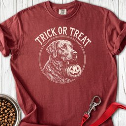 Chesapeake Bay Retriever Trick Or Treat Premium Tee Gift For Dog Lover