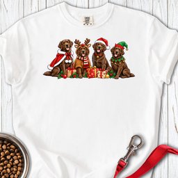 Chocolate Labradors Group Christmas Premium Tee Gift For Dog Lover