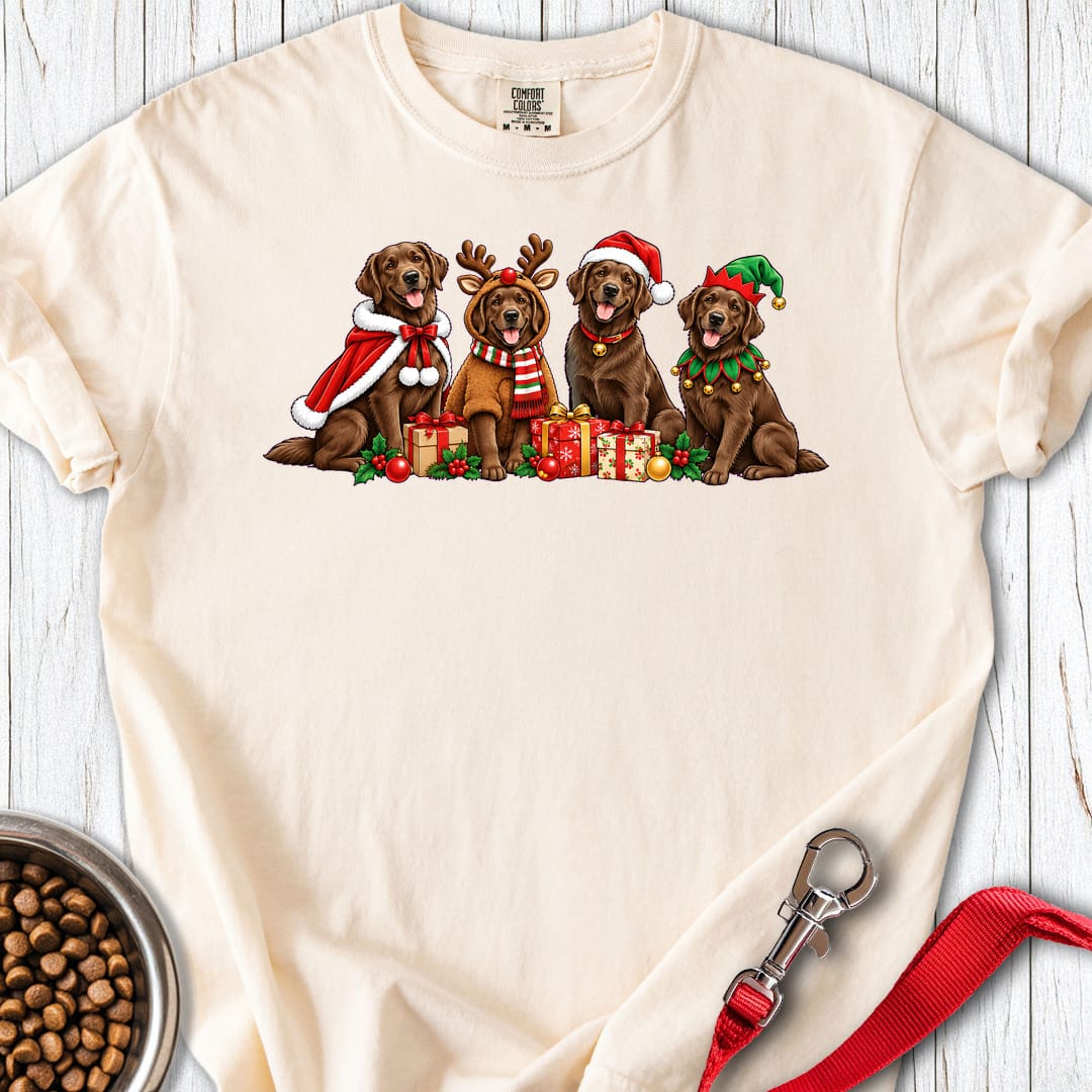 Chocolate Labradors Group Christmas Premium Tee Gift For Dog Lover
