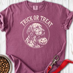 English Setter Trick Or Treat Premium Tee Gift For Dog Lover