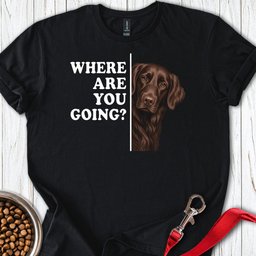 Flat Coated Retriever Where Are You Going T Shirt Gift For Dog Lover