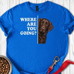 Flat Coated Retriever Where Are You Going T Shirt Gift For Dog Lover