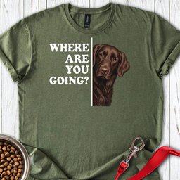 Flat Coated Retriever Where Are You Going T Shirt Gift For Dog Lover