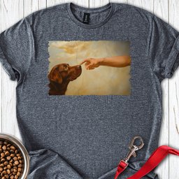 God Creates Chocolate Labrador T Shirt Gift For Dog Lover