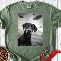 Doberman Pinscher Ufo Premium Tee Gift For Dog Lover
