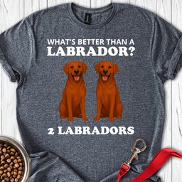 Funny Two Fox Red Labradors T Shirt Gift For Dog Lover