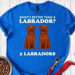 Funny Two Fox Red Labradors T Shirt Gift For Dog Lover
