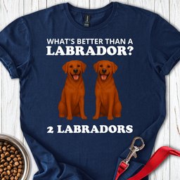 Funny Two Fox Red Labradors T Shirt Gift For Dog Lover