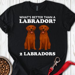 Funny Two Fox Red Labradors T Shirt Gift For Dog Lover