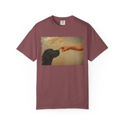 God Creates Black Lab Premium Tee Gift For Dog Lover