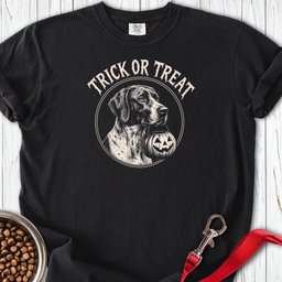 English Pointer Trick Or Treat Premium Tee Gift For Dog Lover