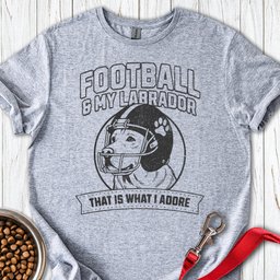 Football And My Labrador T Shirt Gift For Dog Lover