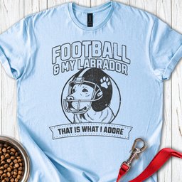 Football And My Labrador T Shirt Gift For Dog Lover