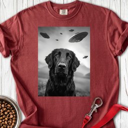 Flat Coated Retriever Ufo Premium Tee Gift For Dog Lover