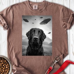 Flat Coated Retriever Ufo Premium Tee Gift For Dog Lover