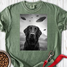 Flat Coated Retriever Ufo Premium Tee Gift For Dog Lover