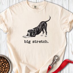 Great Dane Big Stretch Premium Tee Gift For Dog Lover