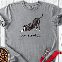 Great Dane Big Stretch Premium Tee Gift For Dog Lover