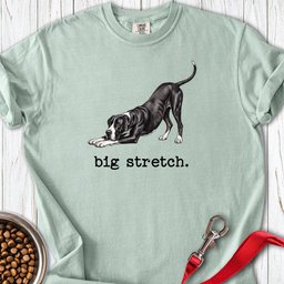 Great Dane Big Stretch Premium Tee Gift For Dog Lover