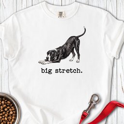 Great Dane Big Stretch Premium Tee Gift For Dog Lover