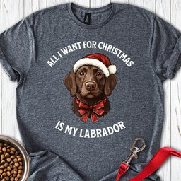 Funny Labrador Christmas Labrador T Shirt Gift For Dog Lover