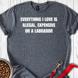 Everything I Love Labrador T Shirt Gift For Dog Lover