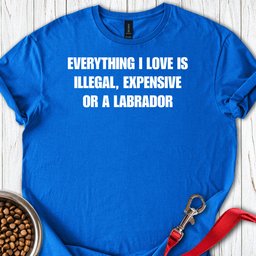 Everything I Love Labrador T Shirt Gift For Dog Lover