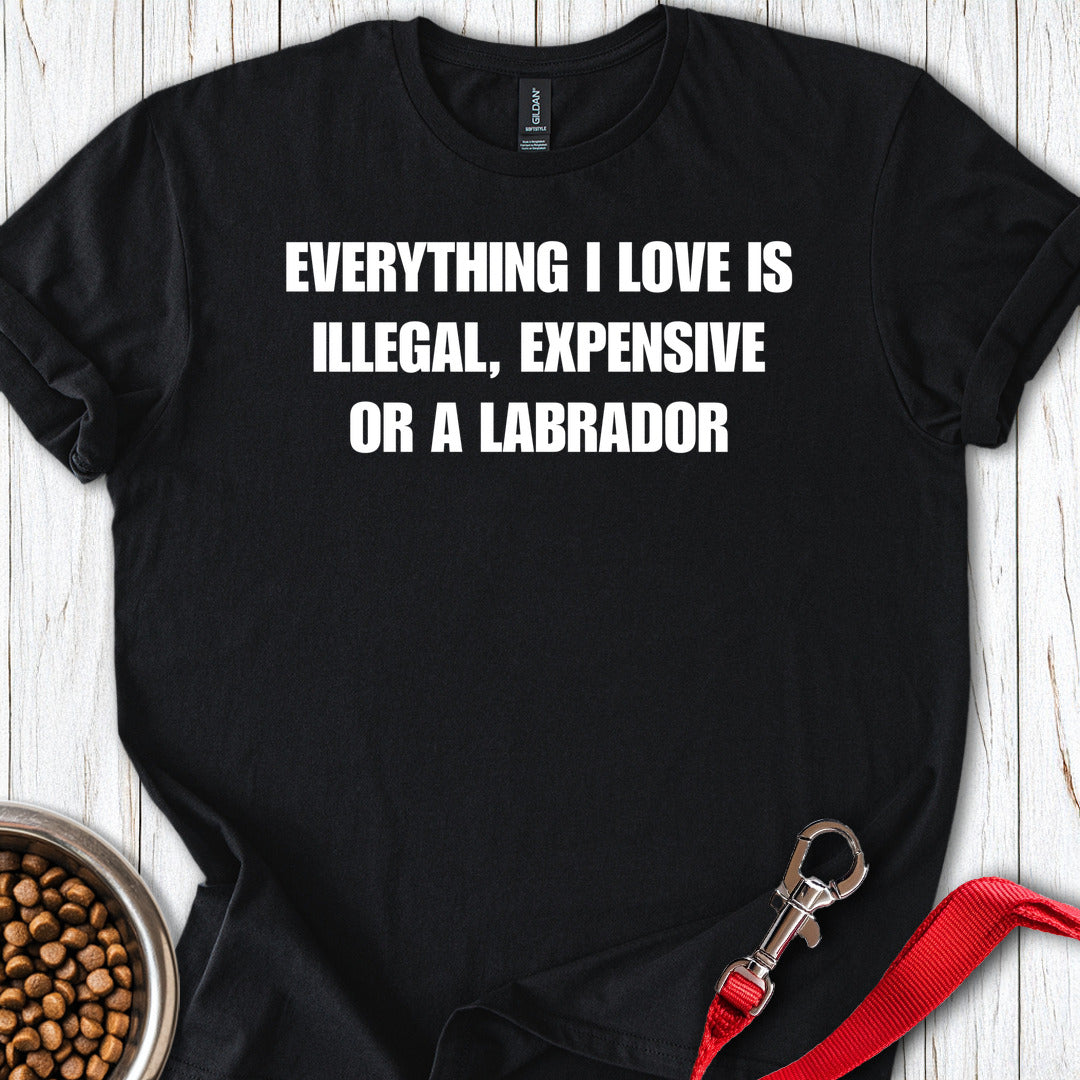 Everything I Love Labrador T Shirt Gift For Dog Lover
