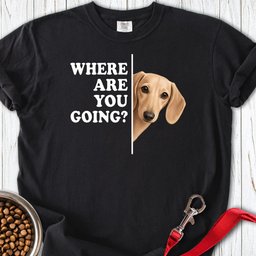 Dachshund Where Are You Going Cream Premium Tee Gift For Dog Lover