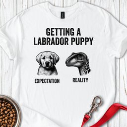 Funny Labrador Puppy T Shirt Gift For Dog Lover