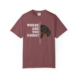 Dachshund Where Are You Going Black And Tan Premium Tee Gift For Dog Lover