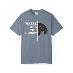 Dachshund Where Are You Going Black And Tan Premium Tee Gift For Dog Lover