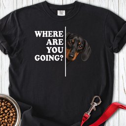 Dachshund Where Are You Going Black And Tan Premium Tee Gift For Dog Lover