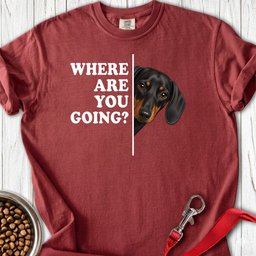 Dachshund Where Are You Going Black And Tan Premium Tee Gift For Dog Lover