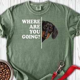 Dachshund Where Are You Going Black And Tan Premium Tee Gift For Dog Lover