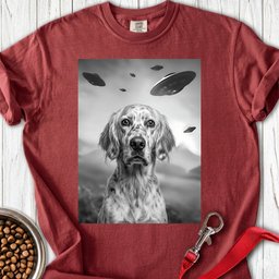 English Setter Ufo Premium Tee Gift For Dog Lover